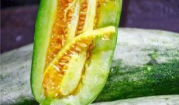 vx网红吃瓜免费,免费体验，带你领略网络红人幕后生活